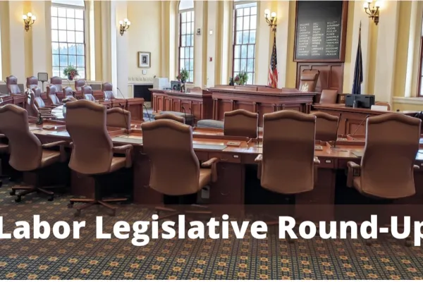 senate