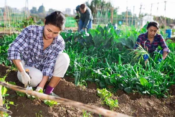 farmworkers