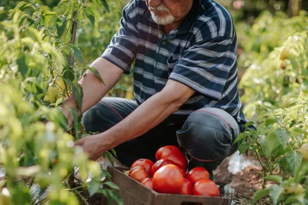 Farmworkers