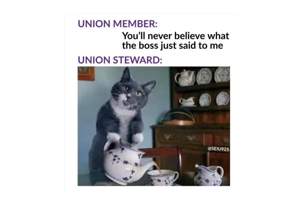 Steward