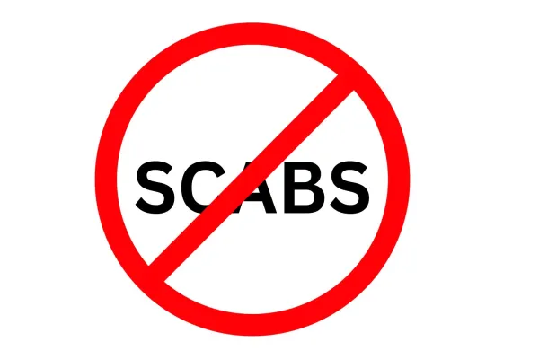 scabs