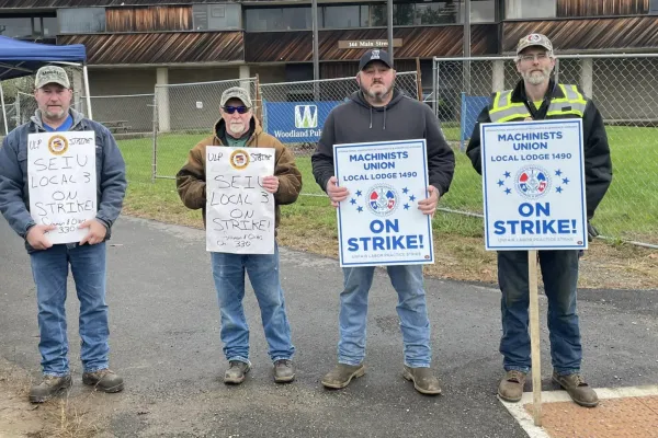 Woodland workers