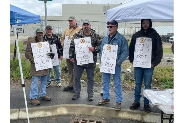 Woodland workers