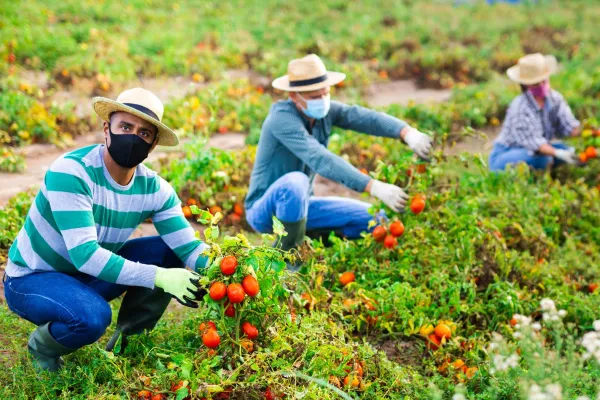 farmworkers