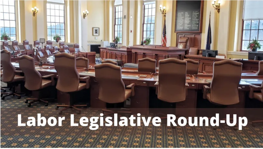 senate