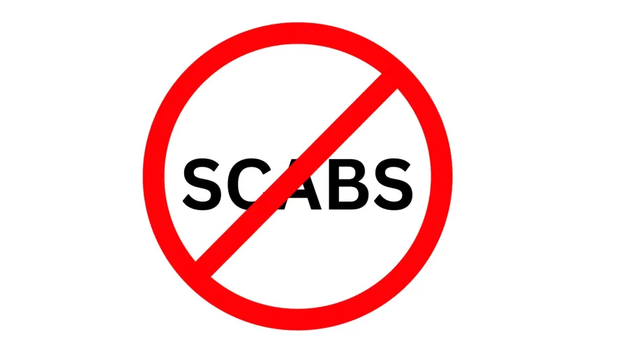 scabs