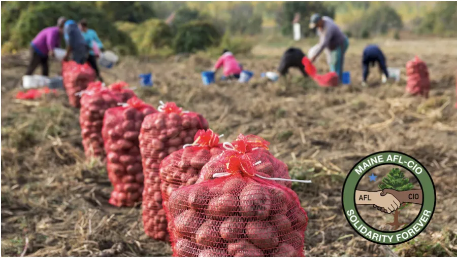 Farmworkers